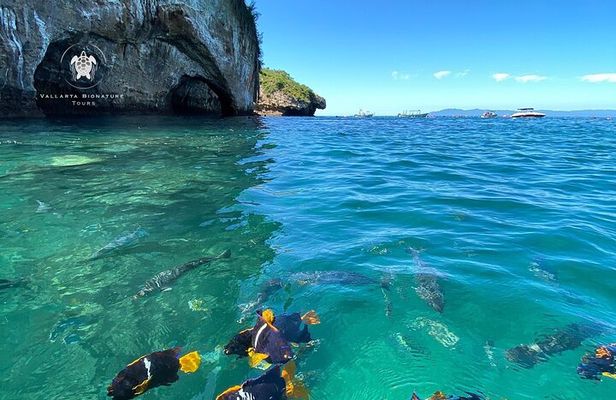 Snorkeling and boating to the sanctuary islands the arches of Mismaloya