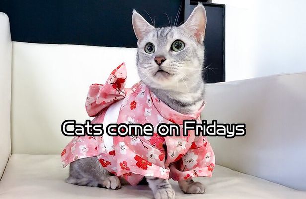 Kimono photoshoot-100 Digital Photos Provided