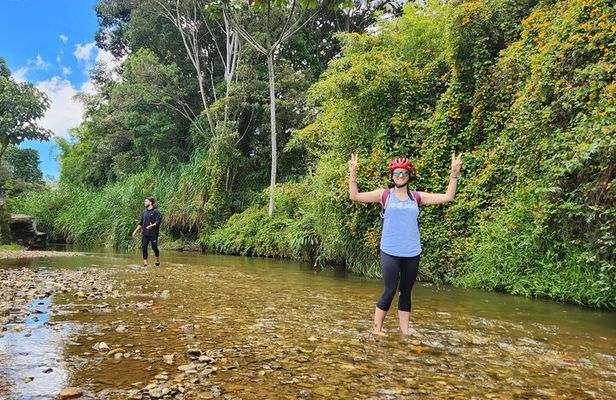 Medellín E-Bike Escape Coffee and Craft Beer