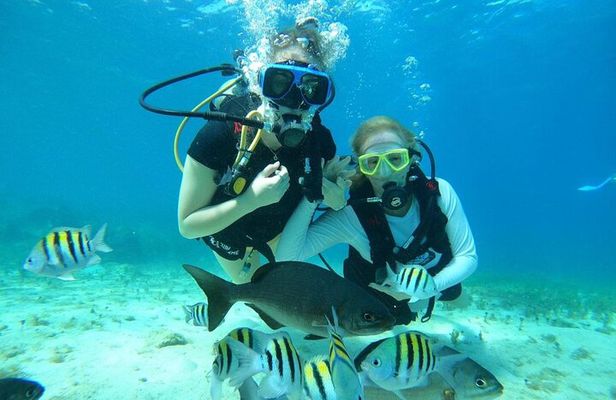 Cozumel Discover Scuba dive