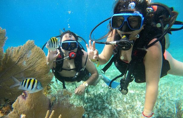 Beginner Scuba Diving Adventure at Chankanaab