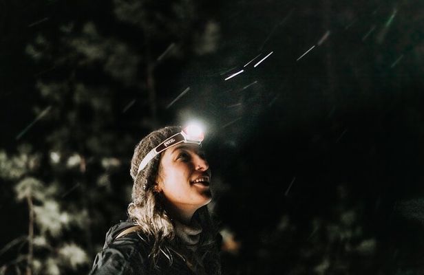 Moonlight and Starlight Snowshoe Tour