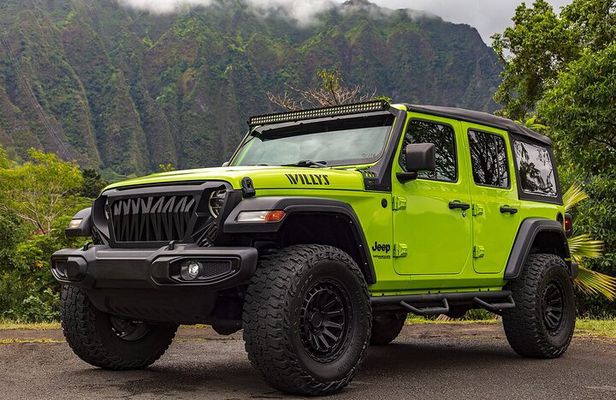 Convertible Private Photo Tour Hawaii