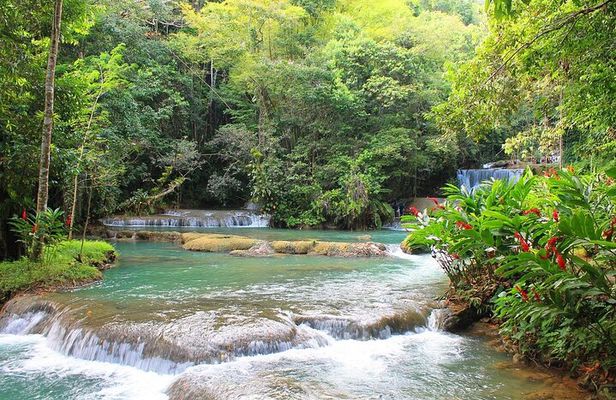 YS Falls and Black River Safari South Coast from Negril Jamaica