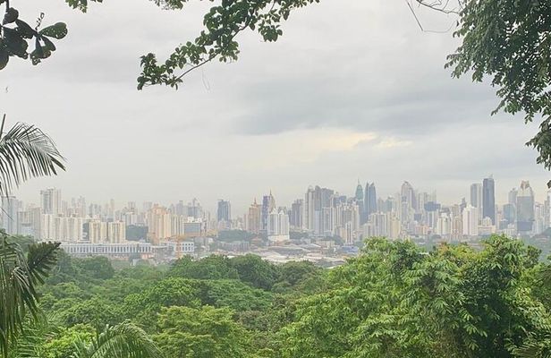 The Panama City: Hike & Sights Private Tour