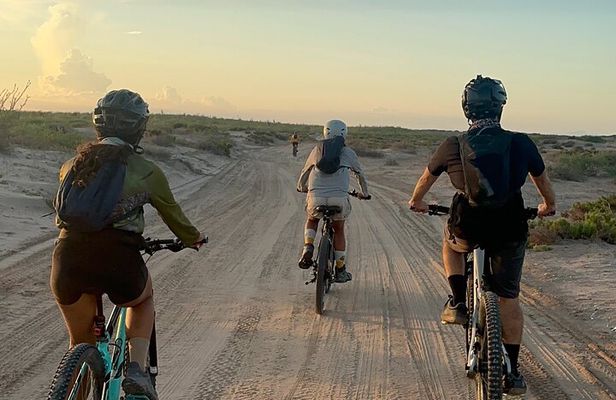 Scenic Bay Bike Ride Through Desert and Mangrove
