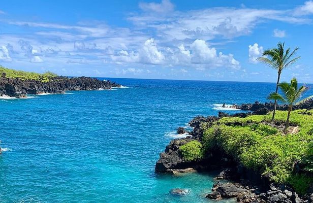 Rainforest Tour to Hana and Beyond