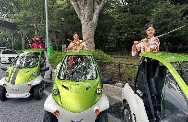 Official Tokyo Shibuya : KIMONO Dressed EV-Go Kart Activity Tour