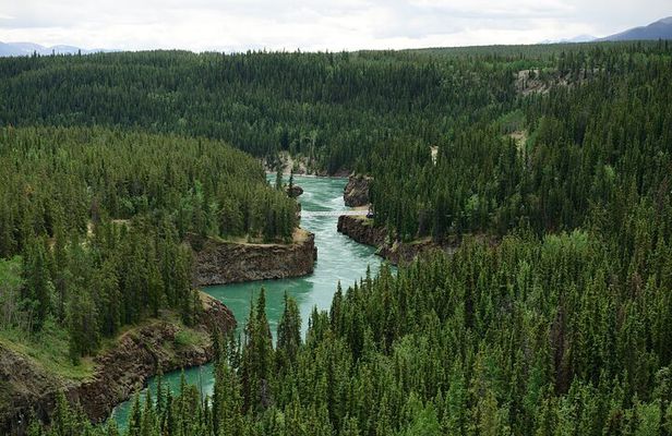 Yukon River Boat Tour Through Miles Canyon