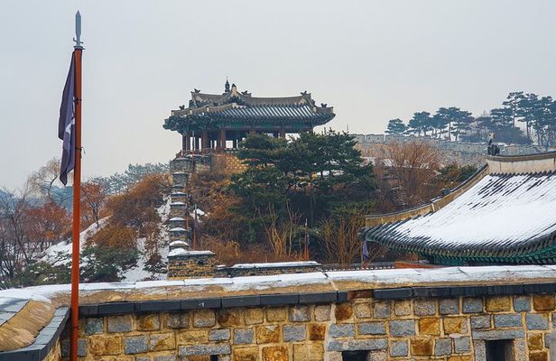 Suwon Fortress and Palace Tour with Optional Food Experience