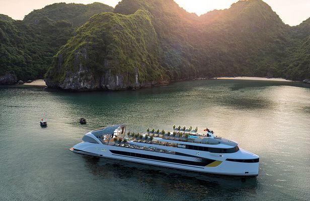 Dolphin Cruise – Experience Halong Bay in Timeless Luxury