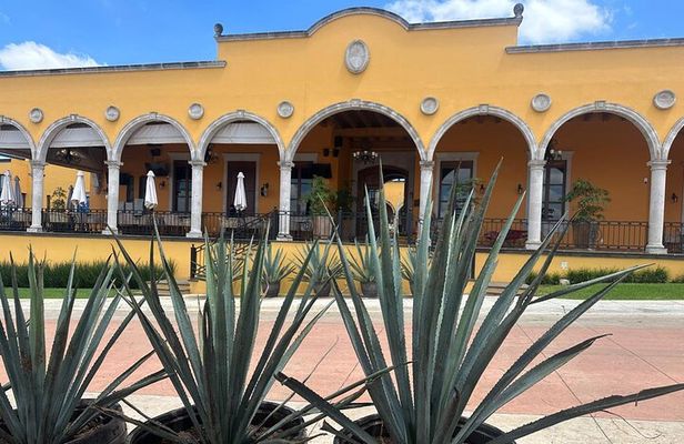 Secrets in Los Altos del Tequila