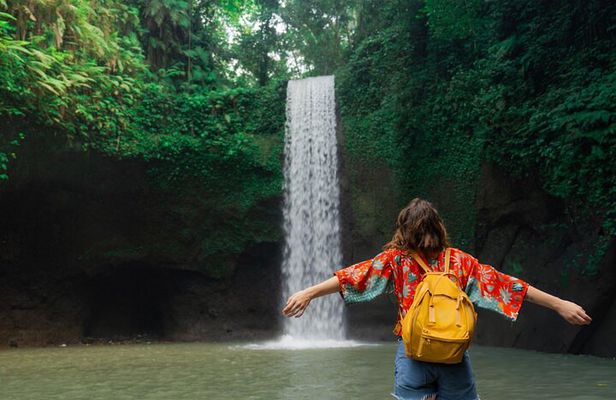 Ubud : Waterfalls, Water Temple & Rice Terraces Private Tour 