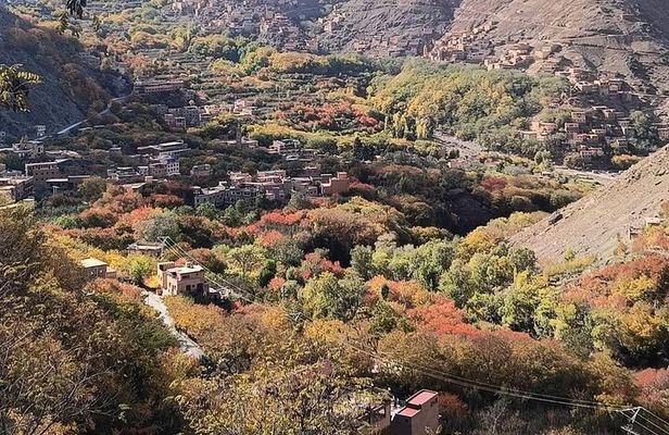 Marrakech: Atlas Mountains, private tour to berber vellages 