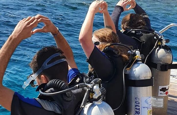 Hurghada Diving for Beginner with Lunch Drinks Transfer