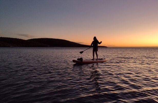 Snorkeling and Paddle Boarding Adventure in La Paz 