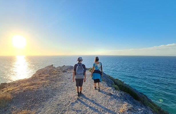 Balandra Hills Shared Hike and Walk Experience
