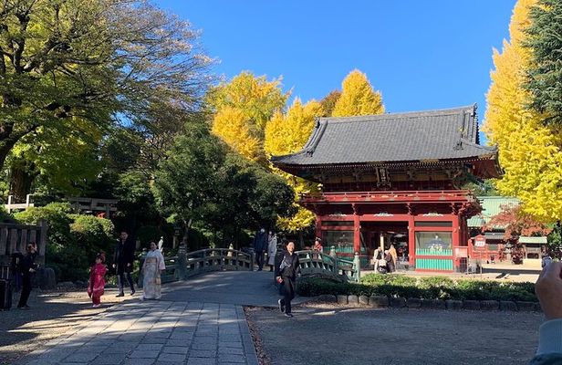Yanaka Walking Tour: Historic and Traditional District of Tokyo