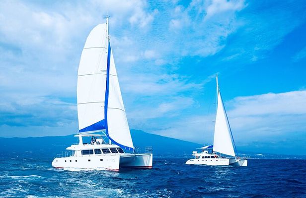 Small Group Tour in South Jeju including Yacht, Falls & Mt.Halla