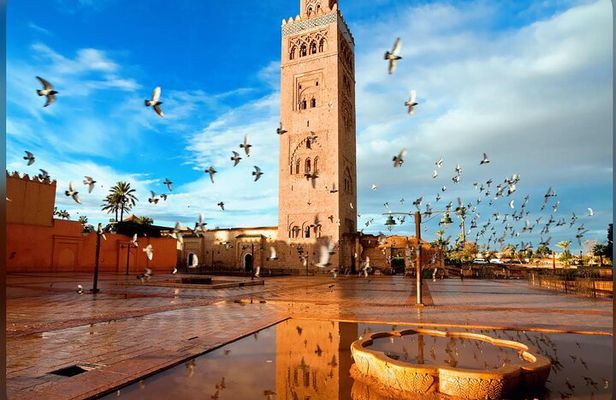 Visit vip Marrakech 5 h with driver polyglot & Palmeraie”