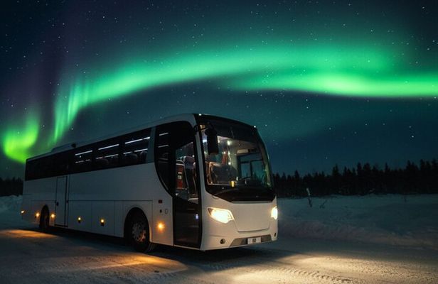 Northern Lights Bus: Cozy Night Adventure with Hot Chocolate