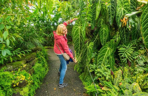 Royal Botanic Garden Edinburgh Private Guided Tour