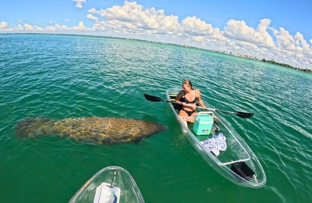 3-Hour Clear Kayak Beach Hopping Adventure in Sarasota