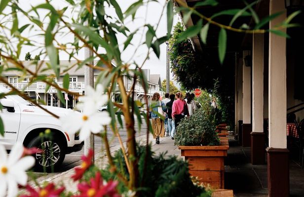 Premium Small Group Napa and Sonoma Wine Tour from San Francisco