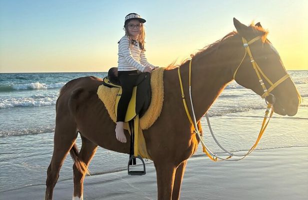 Salalah Camel & Horse Riding Experience