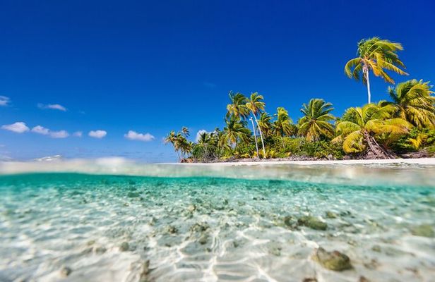 Saona Island The Virgin Part No One Knows