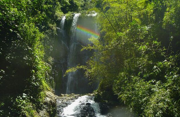 Jungle and Waterfall Adventure