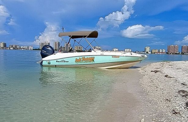 Clearwater Island Escape – Private 4-Hour Half-Day Cruise