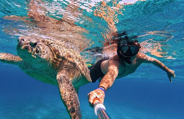 Sea Turtles Marsa Mubarak, Boat trip with Snorkeling-Marsa Alam