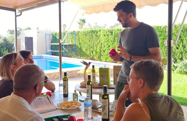 Visit to Family Ecological Olive Tree and Olive Oil Tasting