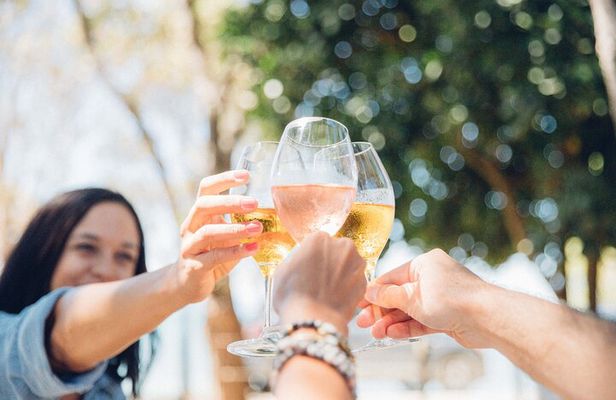 Waiheke Island Wine Tour with Scenic Vineyards & Tastings