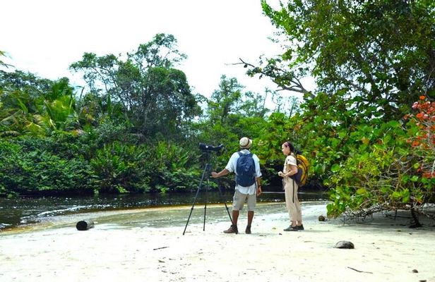 Cahuita National Park Guided Hike by Native Naturalistic Guide