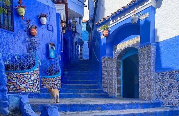 Chefchaouen Blue City Shared Day Trip with Guide and Transport