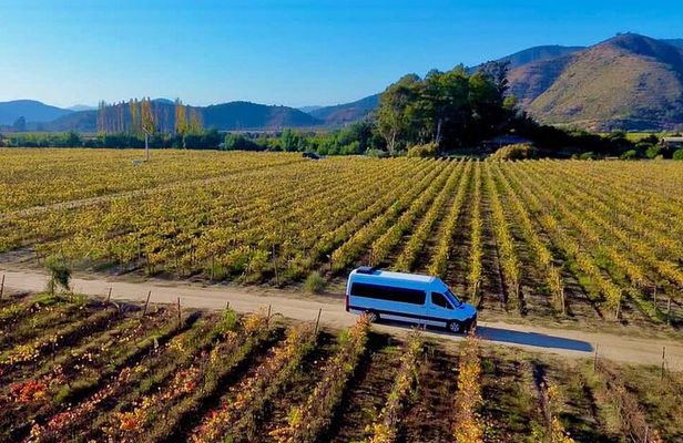 Santiago: Viña del Mar, Valparaiso, with Casablanca Wine Tasting