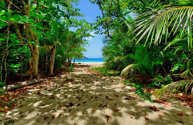 A Little Bit Of Everything Tour & Beach with Rum Punch (Private)