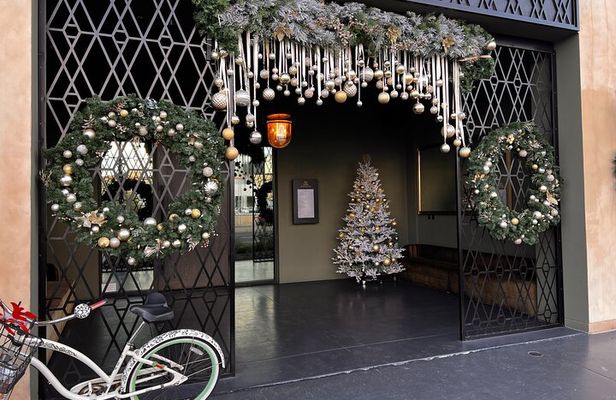 Private Bespoke Cart Tour: Holiday Lights