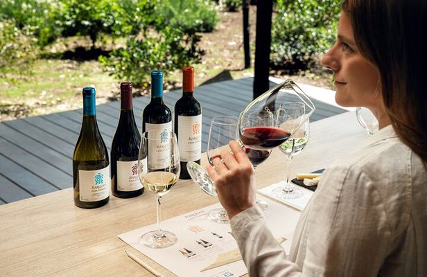 Official Concha y Toro Marques de Casa Concha Wine Experience