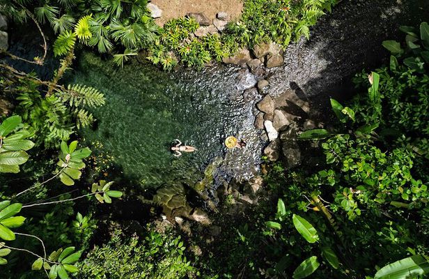Natural Springs of Kuru Jungle Springs and Trails