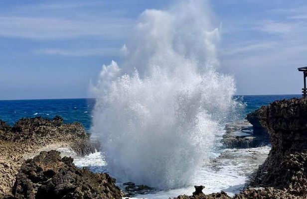 Private Customizable Curacao Beaches, Nature & Countryside Tour