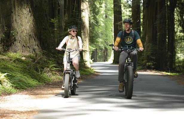 E-Bike Tour in the Avenue of the Giants Redwood Forests - 4 Hours