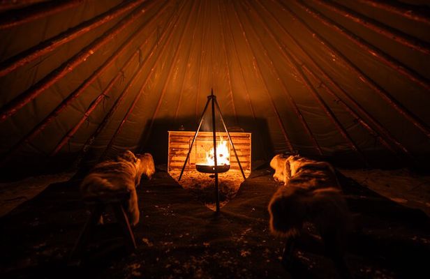 Ranua Lupland Aurora Activity Park – After Dark Adventure