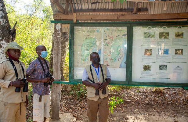 3 Days Diani Nature and Birdwatching Tour in Kenya