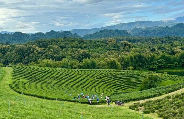 Chiang Rai Northern Thailand Tour with Golden Triangle
