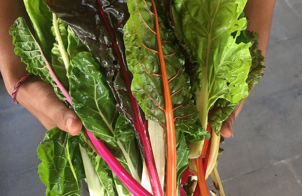 Jean Talon Farmer's Market Tour x Michelin-Trained Chef
