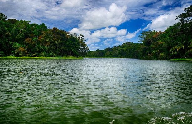 Gatun lake wildlife safari expedition and Miraflores Canal locks