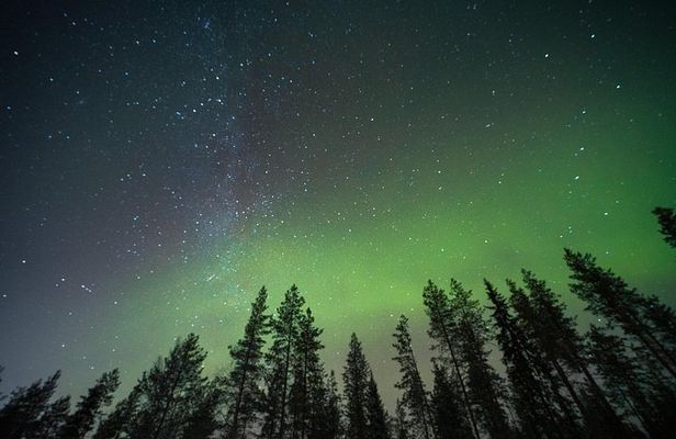 Rovaniemi Insider Aurora Train at Night